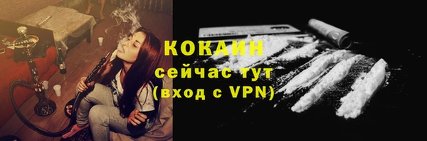 прущая мука Инта
