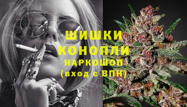 прущая мука Инта